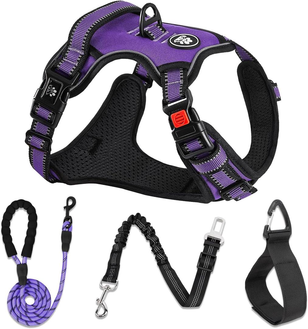 NESTROAD No Pull Dog Harness,Adjustable Oxford Dog Vest Harness with Leash,Reflective No-Choke Pet Harness with Easy Control Soft Handle for Large Dogs(Large,Purple) (Lneck 15-19" chest 19-29")