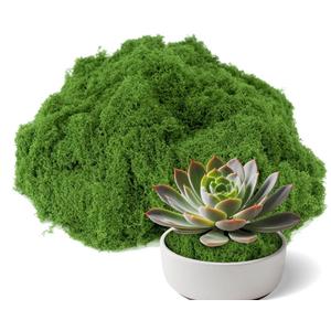 Fake Green Moss 7.05 oz Artificial Moss for Crafts Potted Plants Indoor, Faux Moss Decor for DIY Decorative Table Centerpieces, Glass Containers, Party Wedding & Fairy Garden Floral (Light Green)