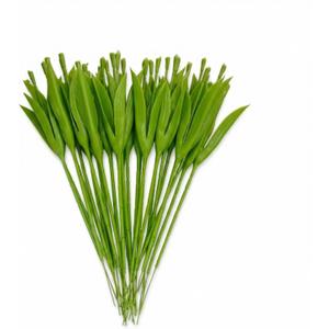30 Pcs Artificial Tulip Stem with Leaves Plastic Floral Wire Stem Craft Flower Bouquet Making for Floral Tulip Arrangement, DIY Craft Bouquet Making, and Florist Supplies
