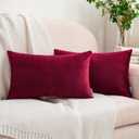 HWY 50 Burgundy Red Velvet Rectangular Throw Pillow Covers 12x20 Inch, Pack of 2 Soft Cozy Solid Decorative Luxury Cushion Cases for Couch Sofa Bed Living Room Bedroom