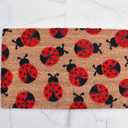Ladybug Doormat, Cute Welcome Mat, Spring Decor, 16x24 Inch, Red