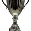 Express Medals Various Styles of Award Trophy Cups Trophies Prize Gift Champion Winner 1st Place (Design 8)