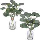 Zheart 2 Pack Small Fake Plants Eucalyptus PottedArtificial Eucalyptus Stems in Glass Vase with Faux Water for Shelf Desk Bathroom Farmhouse Room Office Coffee Table Kitchen Home Decor (Green)