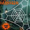 Spider Webs Halloween Decorations Outdoor/Indoor, 2.5m