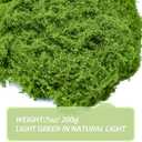 Fake Green Moss for Crafts 7 Oz Decorative Artificial Moss for Crafts Decorative Faux Moss Table Centerpieces Wedding Party Decor Fairy Garden Floral DIY