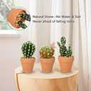 Oairse Mini Artificial Cactus Plants in Terracotta Pots 4 Pcs Potted Faux Succulents in Pots Fake Potted Plants Cactus Decor Small Artificial Plants for Home Decor Indoor Office Desk Tabletop Shelf