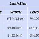 Lionheart glory Halloween Strong Dog Leash, Durable Dog leashes with Soft Handle for Walking Training Small Male or Female Dogs (Small (Pack of 1)