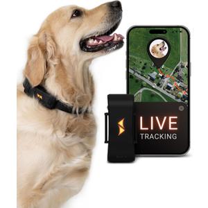 PAJ GPS Dog Tracker - 4G Real-Time Tracking & Runaway Alerts - Waterproof, Long-Range, Smart App Monitor Health & Activity - Fits Any Collar, Mini Device Navigator Chip - Subscription Required - Black