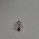 Klein Tools 69410 Replacement Test Lead Set, Right Angle