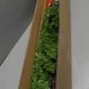 3 FT Wall Christmas Tree, Dark Green Half Christmas Tree Wall Hanging, DIY 1/2 Chrismas Tree for Window with Lights, Ornaments and Hooks, Hainging Xmas Tree for Door, Pet Owners Xmas Decor