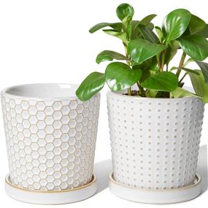 LE TAUCI Ceramic Plant Pots, 5.4 Inch Pots for Indoor Plants, Planters with Drainage Hole and Saucer, Flower Pots for Succulent, Snake Plants and Cactus, Set of 2, Reactive Glaze White (5.4 inch) LE TAUCI Ceramic Plant Pots, 5.4 Inch Pots for Indoor Plants, Planters with Drainage Hole and Saucer, Flower Pots for Succulent, Snake Plants and Cactus, Set of 2, Reactive Glaze White (5.4 inch)