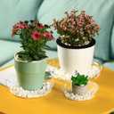 30 Packs Clear Plant Saucers for Indoor Outdoor Use 4/6/8/10/12/14 Inches Heavy Duty Plastic Plant Trays for Planter Bulk Flower Pot Drip Trays to Catch Water, Round Transparent