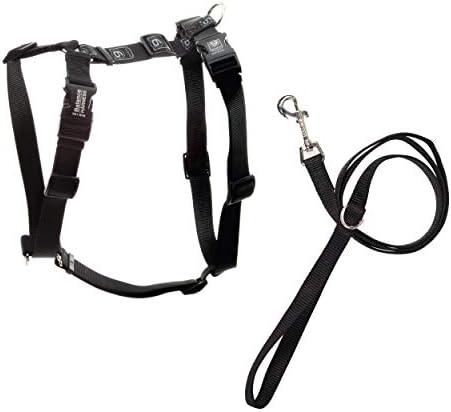 Blue-9 Pet Products No-Pull Balance Harness and Loose Leash Walking Set Dogs, Made in The USA, Black, Small