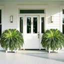 2 Pcs 48" Fake Ferns, 86 Branches Artificial Ferns for Outdoors Large Artificial Plants, UV Resistant Faux Boston Ferns Realistic Greenery for Patio Yard Porch Garden Hanging Decor