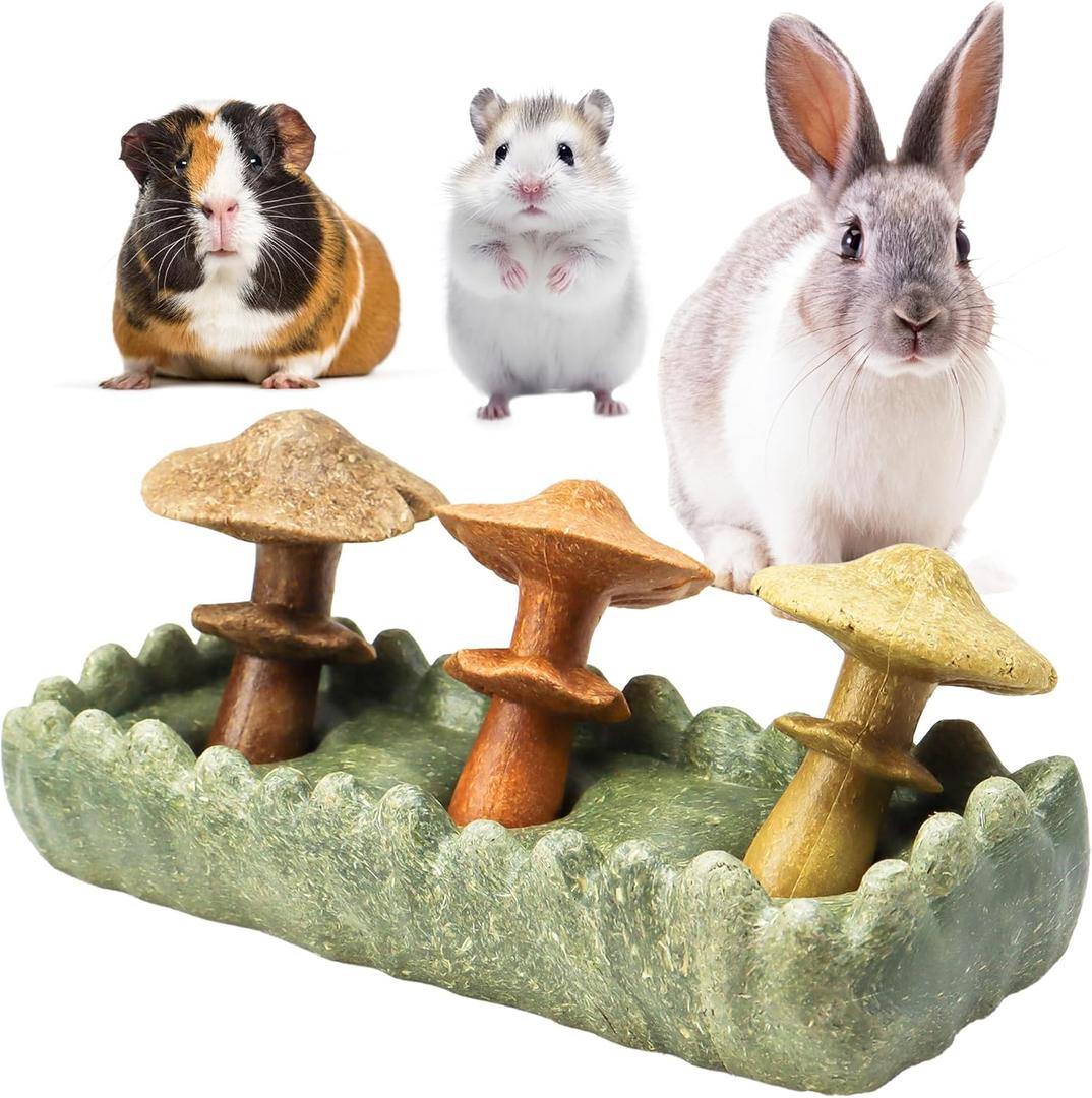TEEWY Guinea Pig Chew Toys, Prevent Teeth Overgrowth, Natural Timothy Grass & Vegetables, Hamster Chew Toys, Guinea Pig Toys, Chinchilla Toys, 4PCS, Grass Patch & Mushrooms
