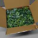 Dolicer 3 Pack Artificial Eucalyptus Garland, 6Ft/Pcs Greenery Garland Faux Vines Garlands Plant Artificial Hanging Eucalyptus Leaves Green Garlands Decor for Bedroom Wedding Arch Wall Party Table