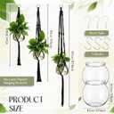 Colingmill 6 Pcs Plastic Plant Propagation with Boho Macrame Hanger Wall Plant Propagation Station Hanging Holder Include Hooks Kit for Indoor Home Garden Office Decor 3 Size (Black)