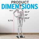 Female Mannequin - Premium Quality Construction, Detailed Dimensions for Realistic Proportions, Sturdy, Durable, and Secure, Versatile Display for Various Clothing Styles, Silver, Standard/Average