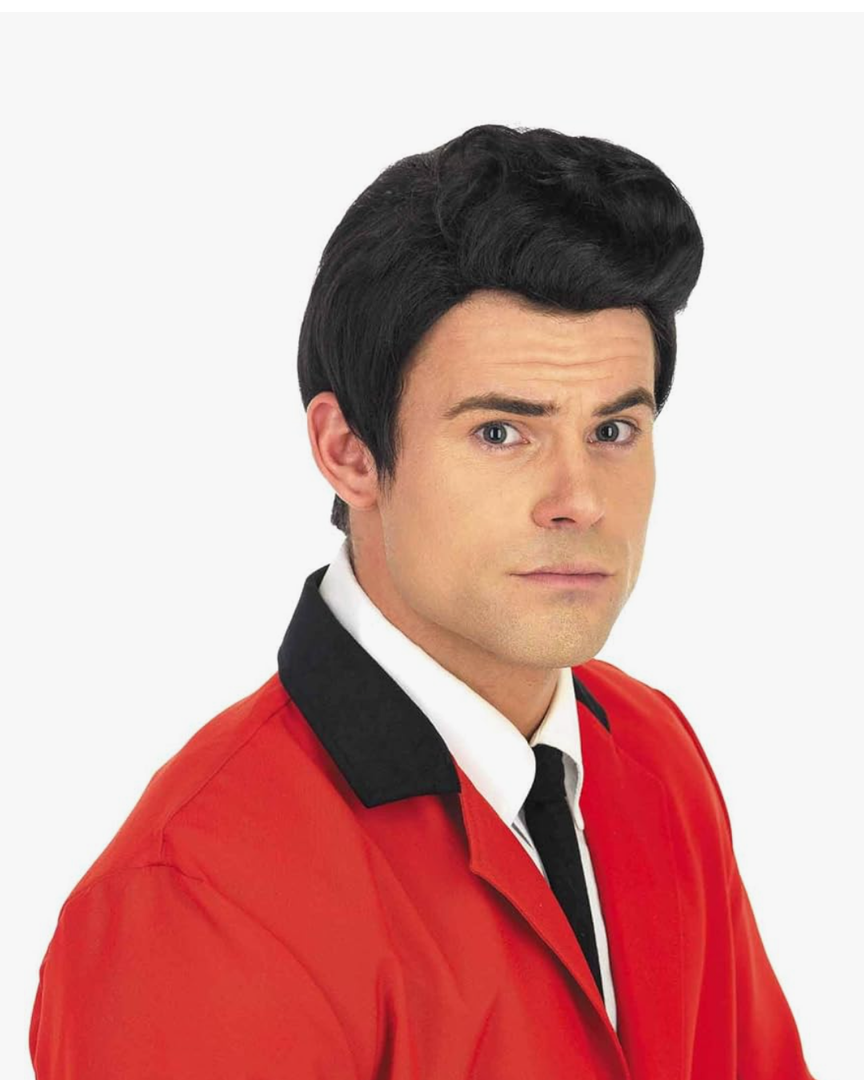 Fun Shack 50's Men's Black Wig with Sideburns, 1950s Costume Wig for Men, Retro Black Wig for Boys, One Size