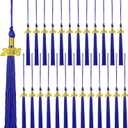 25 Pieces 2026 Graduation Tassel Bulk,Graduation Cap Tassels Decoration with 2026 Year Gold Date Charms,Grad Gifts for 2026 Year Grad Ceremonies Souvenir Class of 2026 for Grad Cap (Blue)