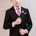 Alizeal Boys Solid Color Pre-tied 2.4'' Zipper Skinny Neckties for Kids (Pink)
