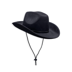 COLLECT PRESENT Plain Felt Cowboy & Cowgirl Hat for Men, Women, and Teens | Western Studded Cowboy Hat in Adult Sizes