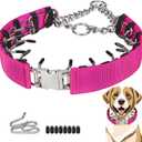 Pinch Prong Collar for Large Medium Small Dogs, Stainless Steel Choke Collar for Dogs with Qucik Release Buckle Rose M (M (Neck 16"-21"), Purple)