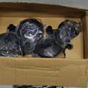 Beau Jardin 8 Pack Solar Pathway Lights Stainless Steel Outdoor Solar Powered Light Waterproof Glass High Lumen for Garden Landscape Path Yard Walkway Patio Driveway Outside White Color Changing Black