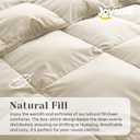Joysoul Twin Size Down Comforter - All Season Ultra Soft Goose Down & Feather Fiber Fill, Luxury Hotel Cream Duvet Insert with Corner Tabs (68" X 88")