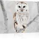 Winter Owl Canvas Print Wall Art - Cute White Owl Perch On Tree Branch - Wall Decor Modern Artwork Paintings Pictures for Living Room Stretched and Framed Ready to Hang - 24" x 36"