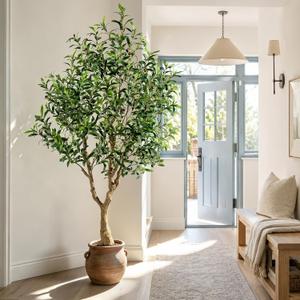 6FT Artificial Olive Tree Indoor Tall Faux Olive Tree with White Planter
