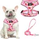 PUPTECK Soft Mesh Dog Harness and Leash Set Pet Puppy Cat Comfort Padded Vest No Pull Harnesses, Strawberry Pink, M
