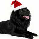 Dog Christmas Costume Funny Adjustable Wig Pet Costumes with Santa Hat for Medium Large Dogs Halloween Christmas Outfit, Black