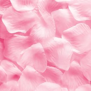 Super Z Outlet Silk Fabric Flower Mini Rose Petals for Weddings (1000 Pieces) (Pink)