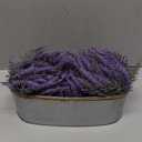 Winlyn 10 Inch Artificial Lavender Flower Arrangement in Rustic Oval Galvanized Metal Planter Box Faux Lavender Potted Plants for Farmhouse Spring Table Centerpiece Wedding Home Office Kitchen Dcor