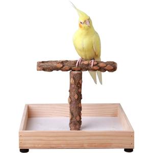 Bird Stand Tabletop,Portable Tee Stand, Parrot Play Stand Perch Gym for Small Medium Parrot (T Stand)