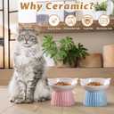 Ceramic Raised Cat BowlTilted Raised Bowl Anti Vomit Bowls for Indoor Cats Whisker Friendly Pet Feeder for Cats Puppies, Microwave and Dishwasher Safe