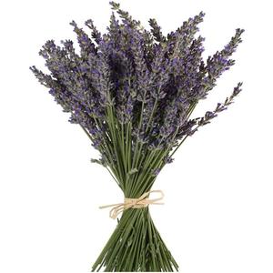 TooGet Natural Lavender Bundles, Freshly Harvested 400+ Stems Dried Lavender Bunch 16" - 18" Long, Decorative Flowers Bouquet for Home Decor, Crafts, Gift, Wedding or Any Occasion