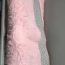 Shag Area Rugs for Bedroom Living Room, 4X6 Ultra Soft Fluffy Area Rugs for Dorm, Indoor Carpet Nursery Rugs for Kids Girls Room Home Decor, Pink