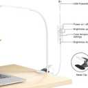 RAOYI LED Desk Lamp, 5W USB Clip on Light Eye-Caring Reading Clamp Table Lamp with 48 LEDs Flexible Neck, 3 Color Modes and 14 Brightness Levels for Office Bedroom Study (White)