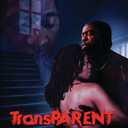 Transparent DVD