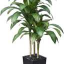 5FT Artificial Dracaena Tree - UV Resistant Faux Tropical Plant, Potted Fake Tree with Taper Planter & Pebbles - Indoor Outdoor Greenery for Home, Porch, Living Room, Bedroom Decor, VN127 (Black)