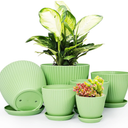 Plant Pots Indoor with Saucers & Drainage - 6 Pack Flower Pots - Plastic Planters for Indoor Planter - 7.5/6.6/5.8/5.0/4.3/3.5 inches Sizes for All Different Types of Plants-Light Green