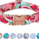 Unique Style Paws Dog Collar Metal Buckle Watermelon Cute Collar for Small Medium Large Boys Girls Dogs