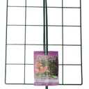 Luster Leaf (970) 24” x 18” Rectangle Grow Through Grid w/ 30” legs