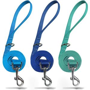azuza 3 Pack Nylon Dog Leashes,Strong & Durable Basic Style Leash with Easy to Use Collar Hook, Royal Blue/Blue/Green (S: 5/8"x 6 FT)