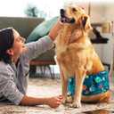 Wegreeco Small Dog Diapers Male,Reusable Belly Bands for Male Dogs,Washable Doggie Puppy Diapers Wraps,Medium Large Size (5 Pack X-Small, Marine Animal)
