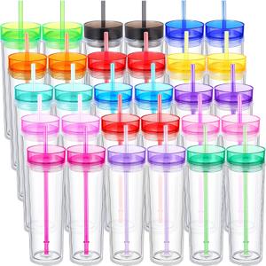 Hoolerry 30 Pcs Acrylic Skinny Tumblers, 16 oz Double Wall PS Tumblers with Lids and Straws, Bulk for Drink Party Birthday Gifts, Multicolor