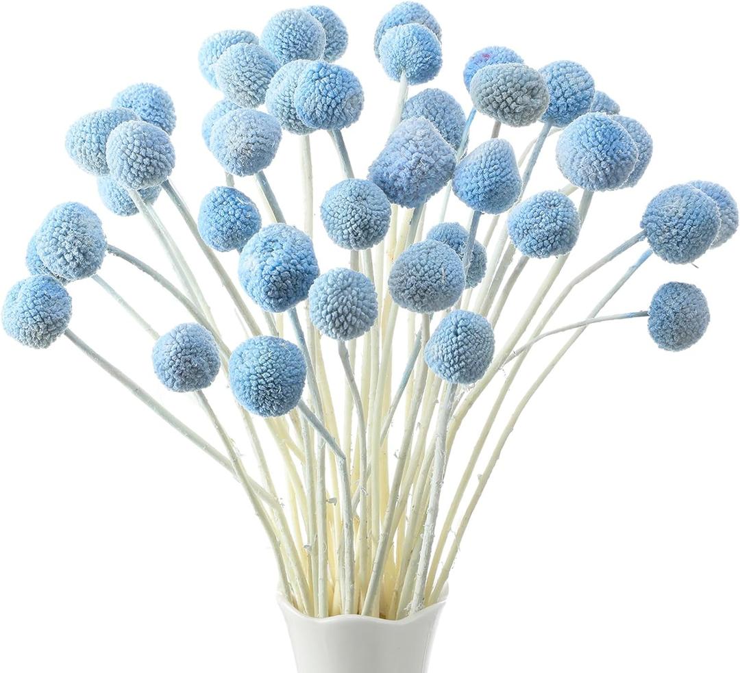 Janinka 40 Pcs Artificial Dried Craspedia Flowers Bulk Blue Fake Billy Button Balls Flowers Dried Floral Bouquet Arrangements for DIY Wedding Office Home Party Tall Vase Boho Decor