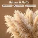 46" inch 20 Stems Natural Pampas Grass Decor Tall, Pompas Grass, Tall Pampas Grass for Weddingm, Farmhouse, Boho Home Decor (Beige)